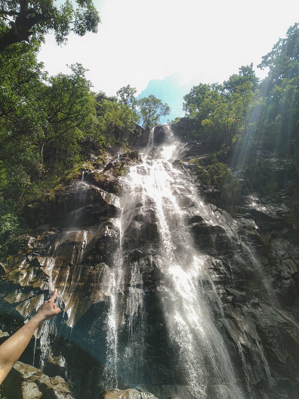 BEE FALL OF PACHMARHI